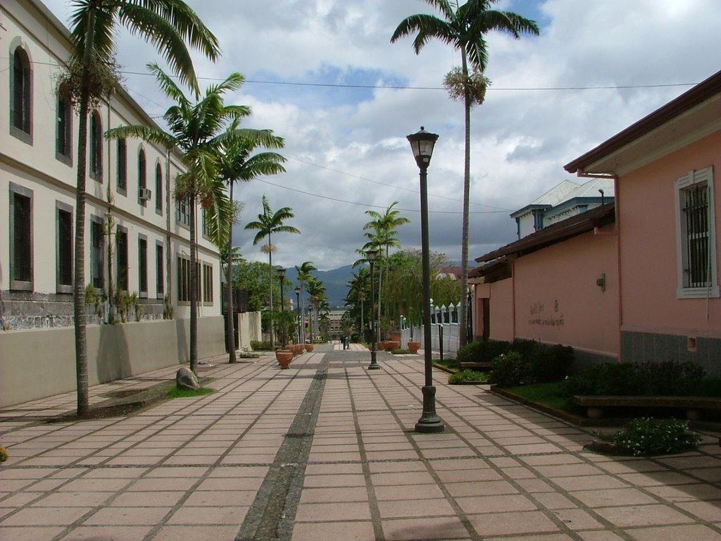 Hotel Bristol San José Exterior foto